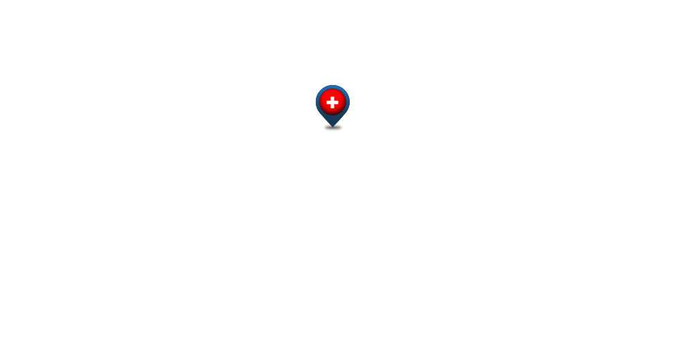 Switzerland pin
