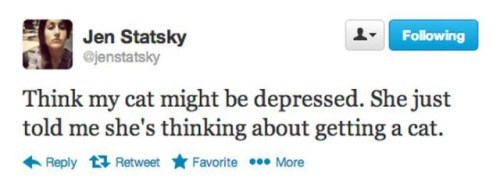 Jen Statsky Tweets saying that her cat might be depressed