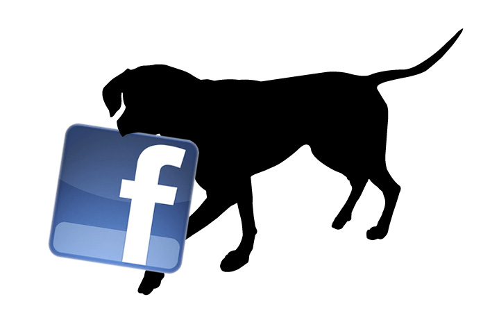 Dog handle Facebook on his mouth