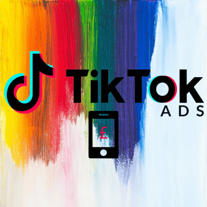 tik tok ads