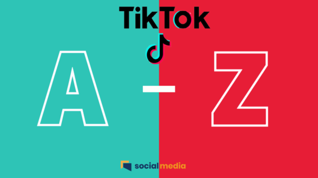 tiktok advertising guide